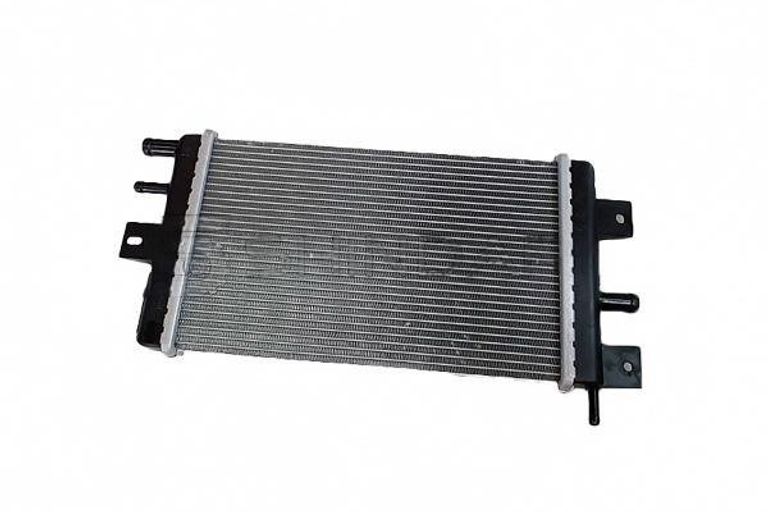 Radiator Assy 214109411R-D005 for DONGFENG EX1